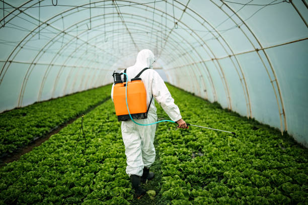 Professional Pest Control in Momence, IL