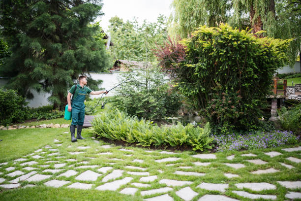 Best Exterminator Services  in Momence, IL