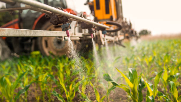 Best Affordable Exterminators  in Momence, IL