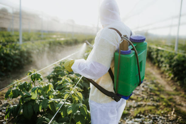 Best Best Pest Control Companies  in Momence, IL